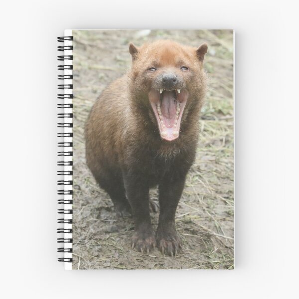 Item preview, Bush Dog designed and sold by aquabella.