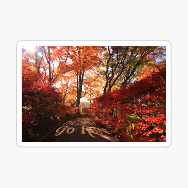 Find Yourself Go Run Autumn Leaves Fall Season Sticker