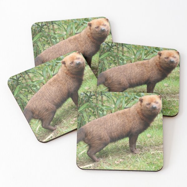 Item preview, Bush Dog designed and sold by aquabella.