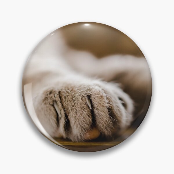 Item preview, Terios  resting paw designed and sold by janet reidman.