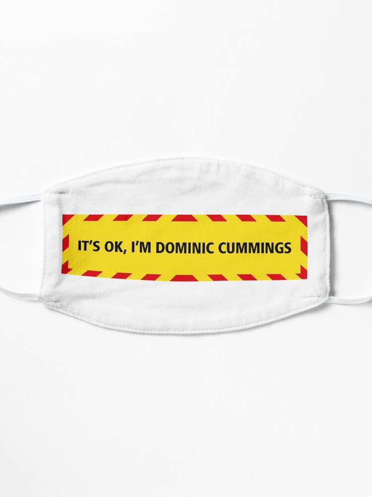 Alternate view of NDVH Cummings (coronavirus) Mask