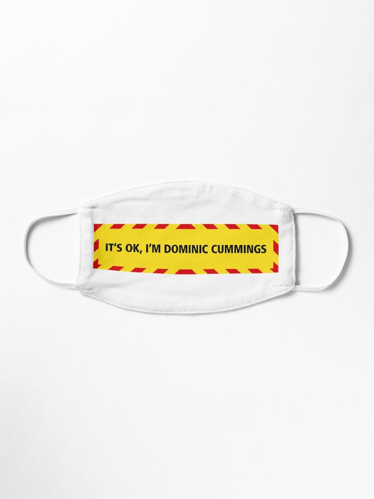 Alternate view of NDVH Cummings (coronavirus) Mask