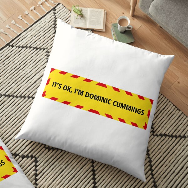 NDVH Cummings (coronavirus) Floor Pillow