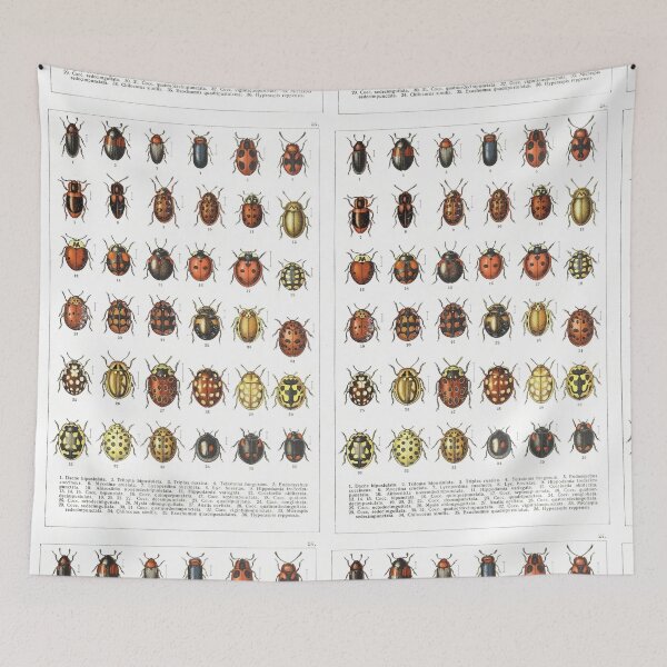 Item preview, Ladybird Beetles Vintage Scientific designed and sold by MoPaws.