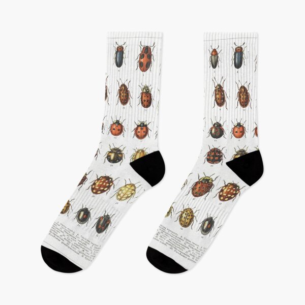 Item preview, Ladybird Beetles Vintage Scientific designed and sold by MoPaws.