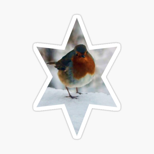 Robin Redbreast Sticker