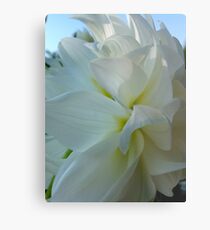Dahlia. by Brown Sugar. Floral iPad series. You are a gift if you like ! Metal Print