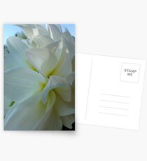 Dahlia. by Brown Sugar. Floral iPad series. You are a gift if you like ! Postcards