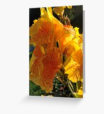 Autumn wonders.....You are a gift if you like ! by Andrew Brown Sugar. Greeting Card