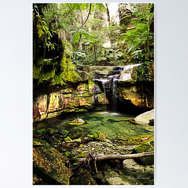 Item preview, Moss Garden, Carnarvon Gorge, Queensland designed and sold by JuliaKHarwood.