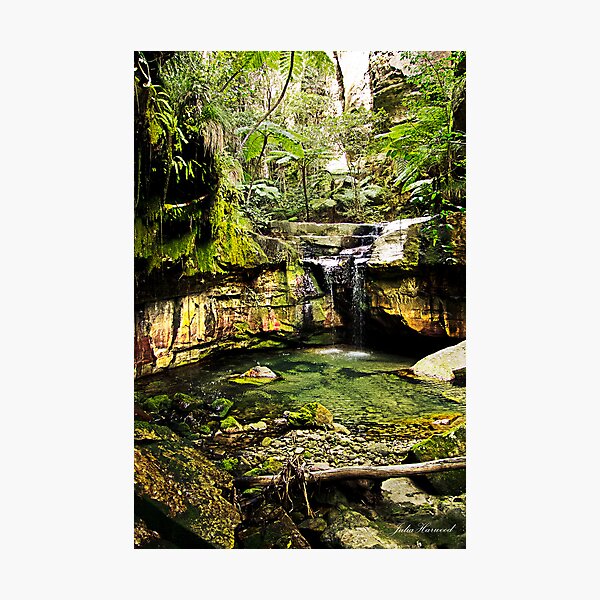 Moss Garden, Carnarvon Gorge, Queensland Photographic Print