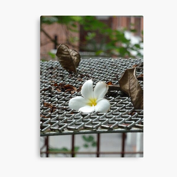 Item preview, The Fallen Flower designed and sold by PictureNZ.