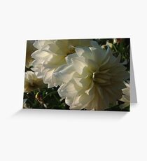 You are a gift if you like ! by Brown Sugar. Greeting Card