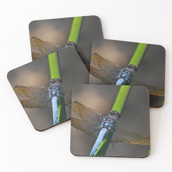 Item preview, Close up of a three winged dragonfly designed and sold by Jason Gilbert.