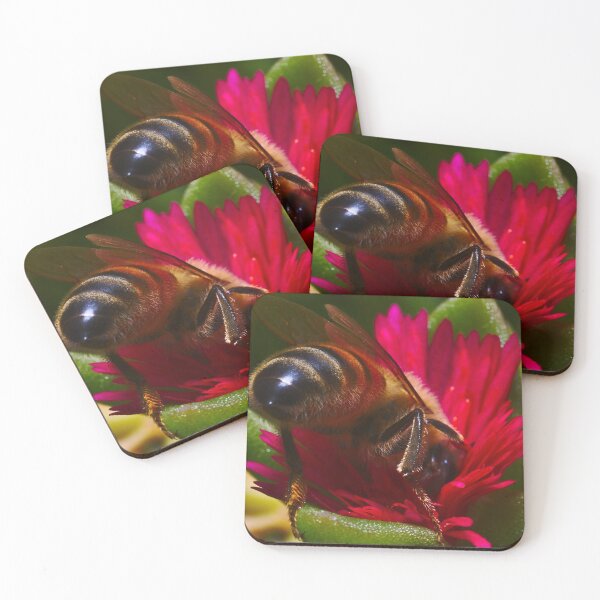 Item preview, Crawling bee bee collecting pollen from succulent bees designed and sold by Jason Gilbert.