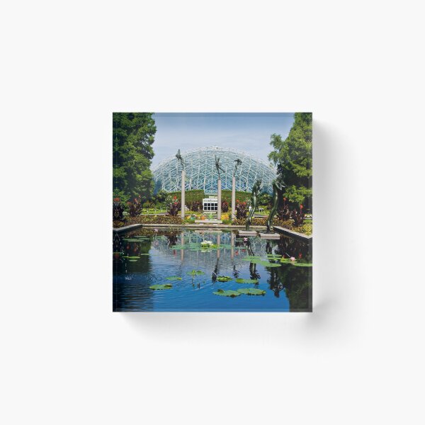 Aperçu de l'œuvre Reflection créée et vendue par Carol Bock.