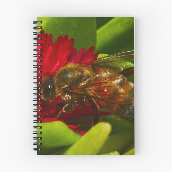 Item preview, Crawling bee bee collecting pollen from succulent bees designed and sold by Jason Gilbert.
