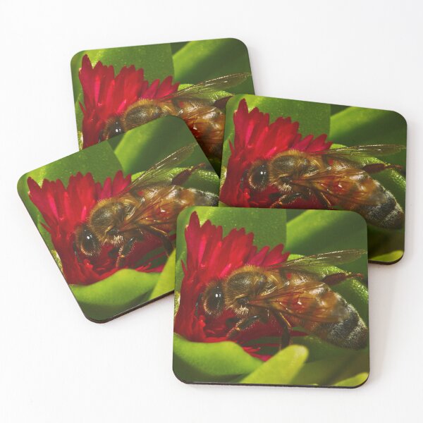 Item preview, Crawling bee bee collecting pollen from succulent bees designed and sold by Jason Gilbert.