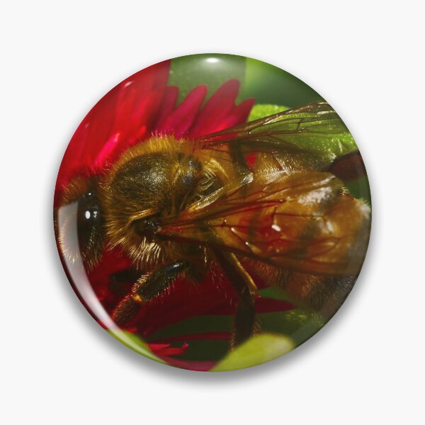 Item preview, Crawling bee bee collecting pollen from succulent bees designed and sold by Jason Gilbert.