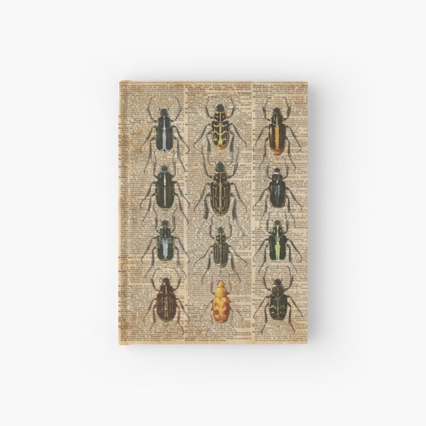 Beetles & Bugs,Insect Chart,Biological Illustration on Vintage Dictionary Book Page Background Hardcover Journal