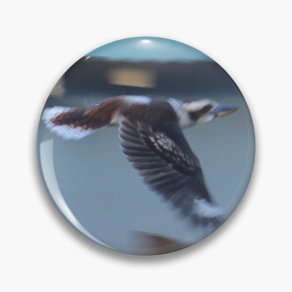 Item preview, Kookaburra in Flight designed and sold by KazM.