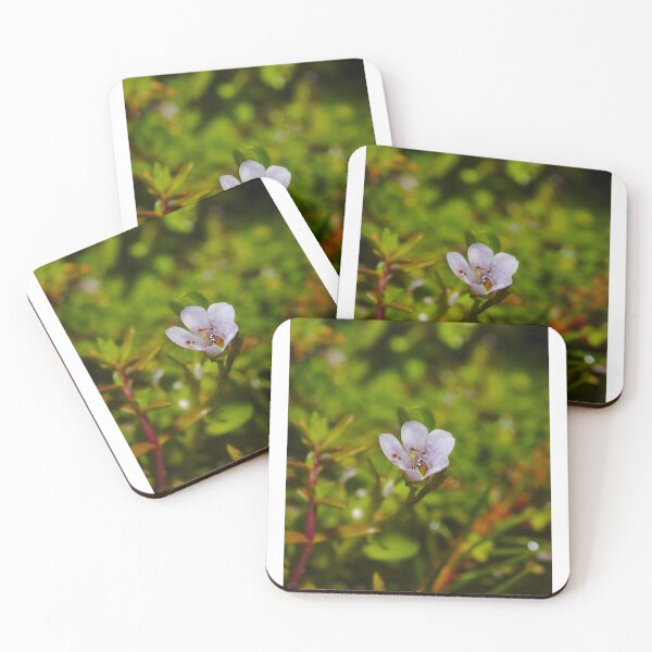 Item preview, A small pink pond flower, two ants emerging designed and sold by Jason Gilbert.