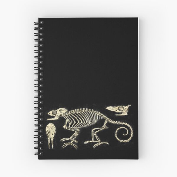 Item preview, Chameleon Skeleton Anatomy Vintage Science designed and sold by MoPaws.