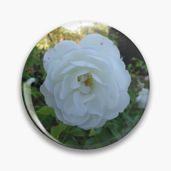 Item preview, white rose designed and sold by Philippakoh1003.