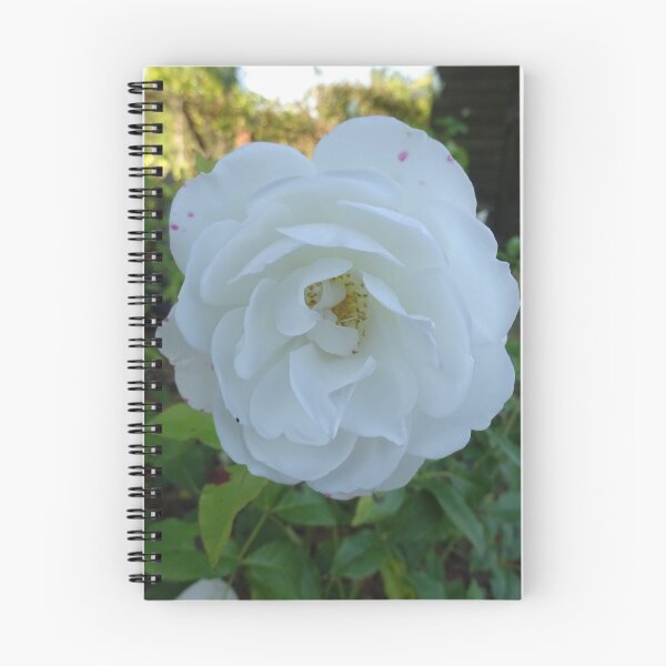 Item preview, white rose designed and sold by Philippakoh1003.