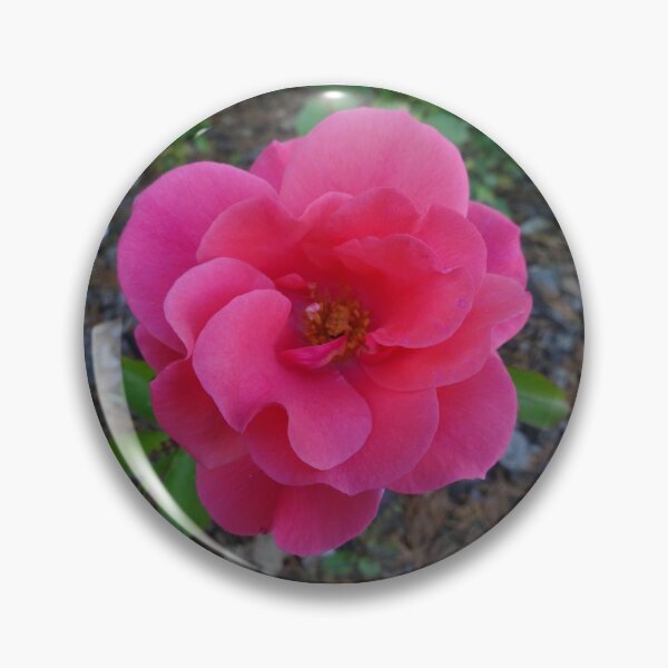 Item preview, hot pink rose designed and sold by Philippakoh1003.