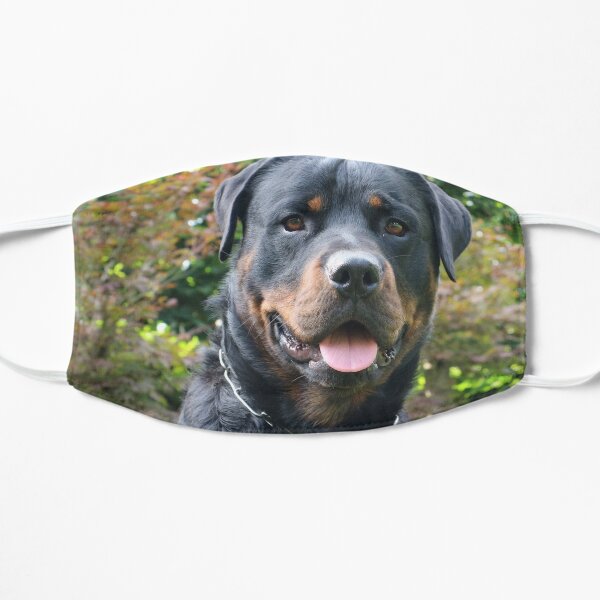 gifts for rottweiler owners