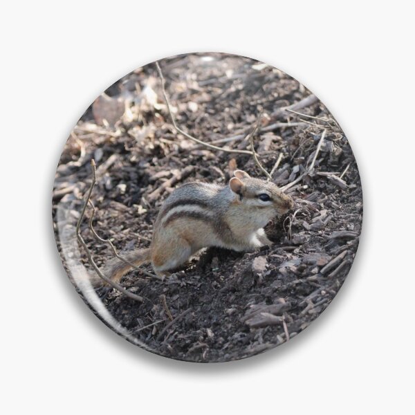 Item preview, Chipmunk Eating designed and sold by Susie Kramer.