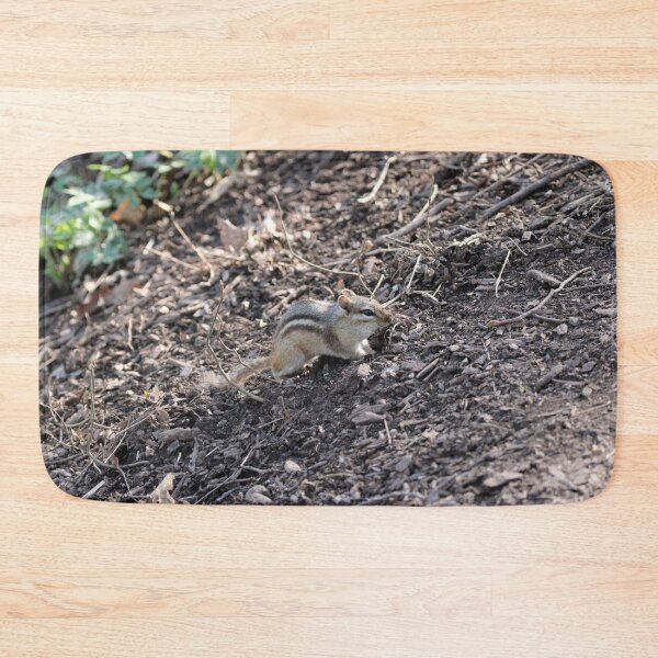 Item preview, Chipmunk Eating designed and sold by Susie Kramer.