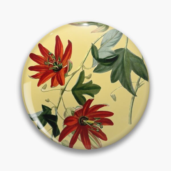Aperçu de l'œuvre Passiflore fleur dessin botanique vintage créée et vendue par MoPaws.