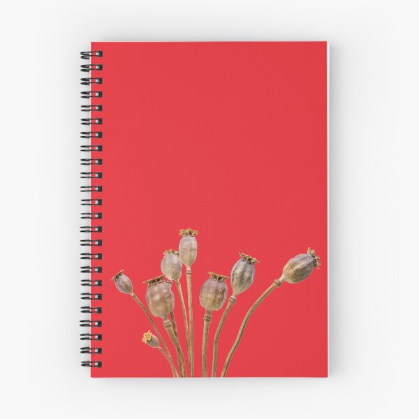 Item preview, Poppy straw designed and sold by mensijazavcevic.