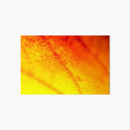 Autumn Orange Art Board Print