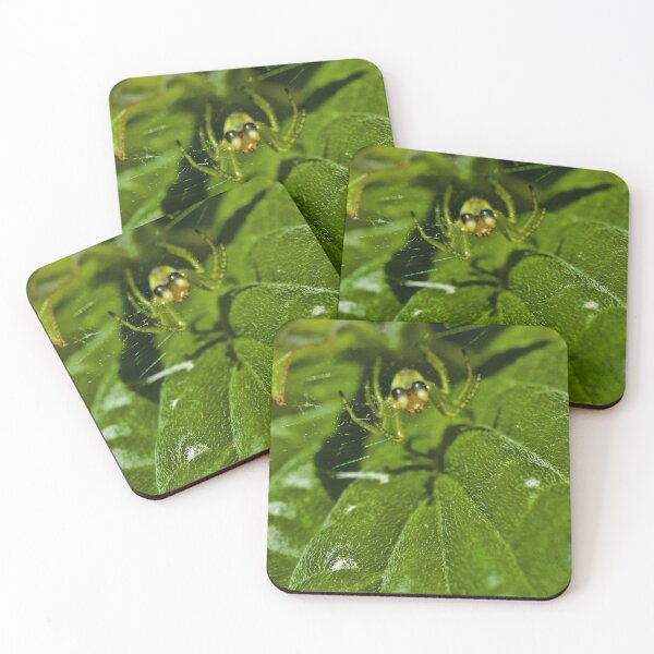 Item preview, PALP PALPITATIONS !  designed and sold by NICK COBURN PHILLIPS.
