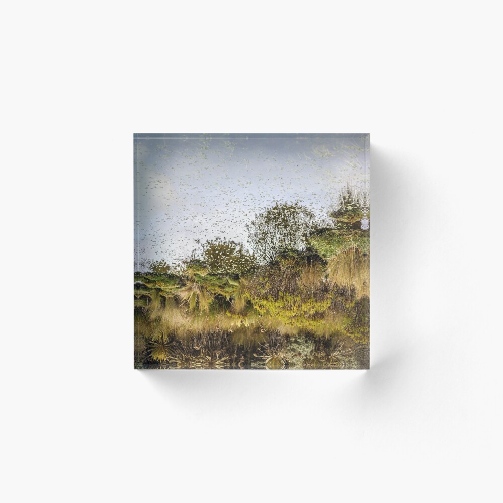 Item preview, Acrylic Block designed and sold by erickromob.