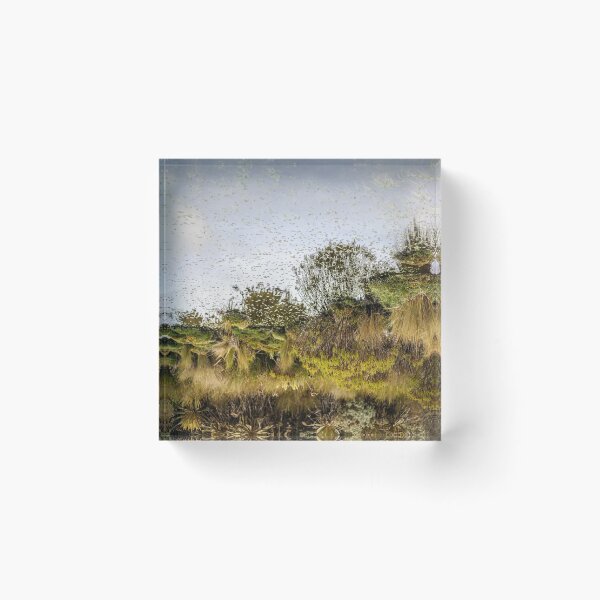 Item preview, Reflection designed and sold by erickromob.