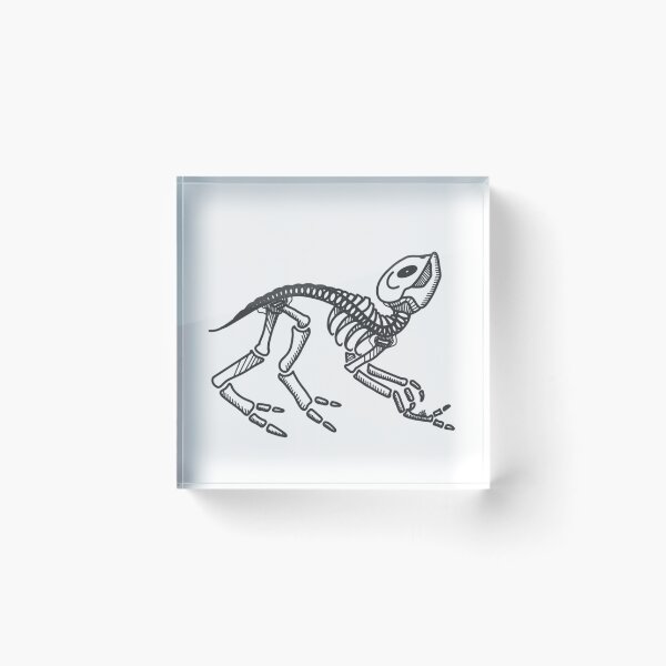 Item preview, Cat-Like Skeleton  designed and sold by Vespasius.