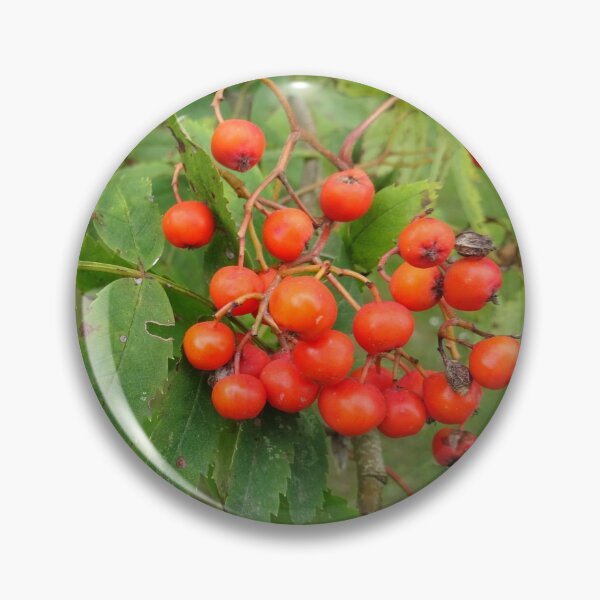 Item preview, berry branch designed and sold by Philippakoh1003.