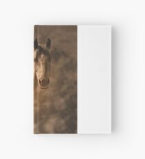 Stute mit Stutfohlen Notizbuch