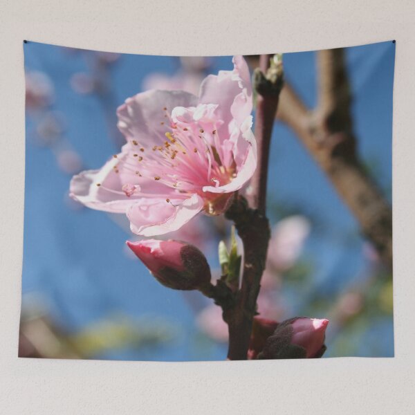 Item preview, Delicate Buds of Peach Tree Blossom designed and sold by taiche.