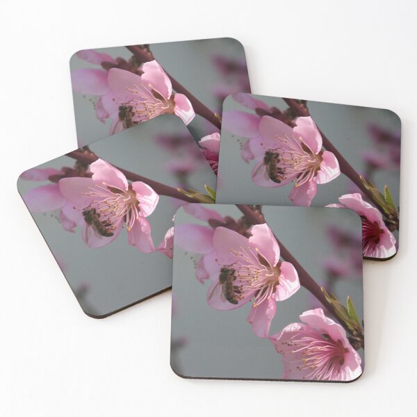 Item preview, Honey Bee On Open Peach Tree Blossom designed and sold by taiche.