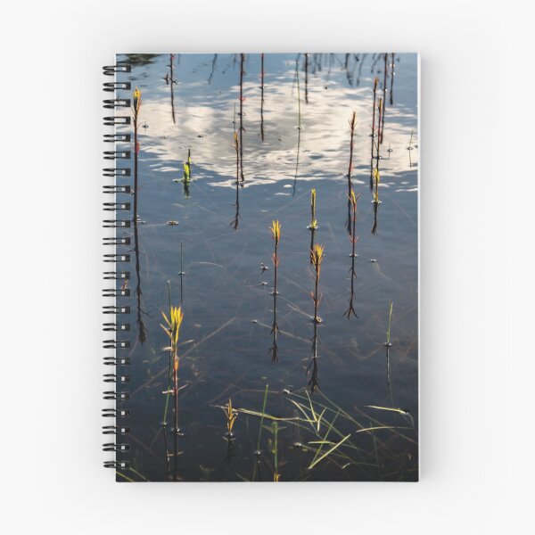 Item preview, Through the surface designed and sold by Arc1.