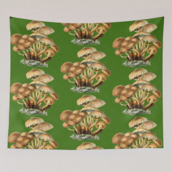 Item preview, Shaggy Scaly Cap Mushroom Vintage Mycology Painting designed and sold by MoPaws.