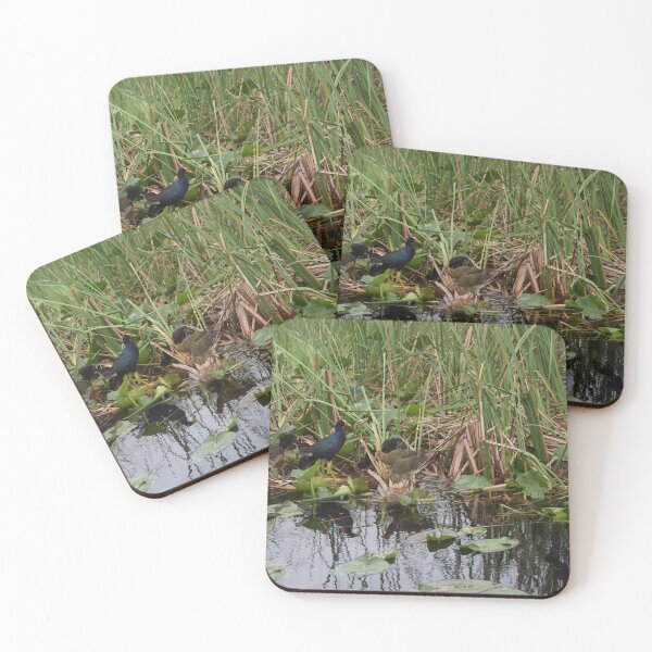 Item preview, Birds foraging for food designed and sold by sarina G.