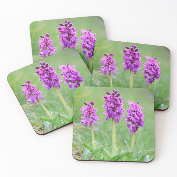 Item preview, Early Purple Orchids designed and sold by bitm2007.