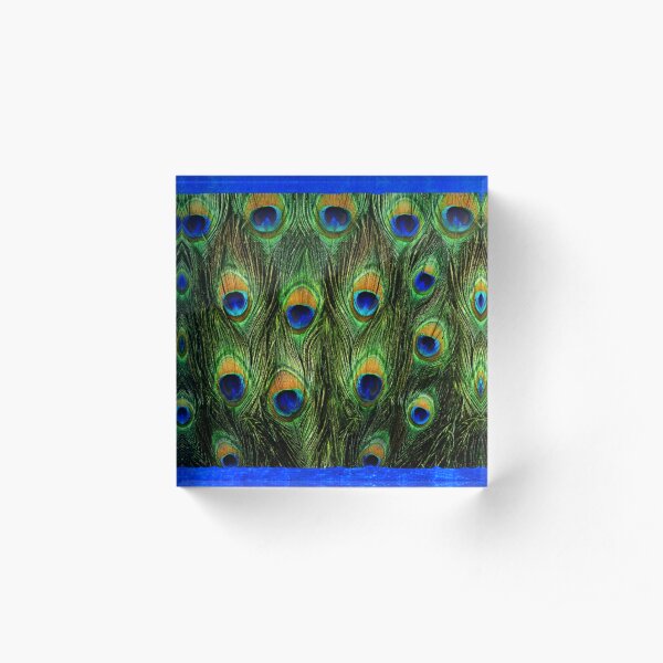 Peacock Feathers and Indigo Velvet Acrylic Block