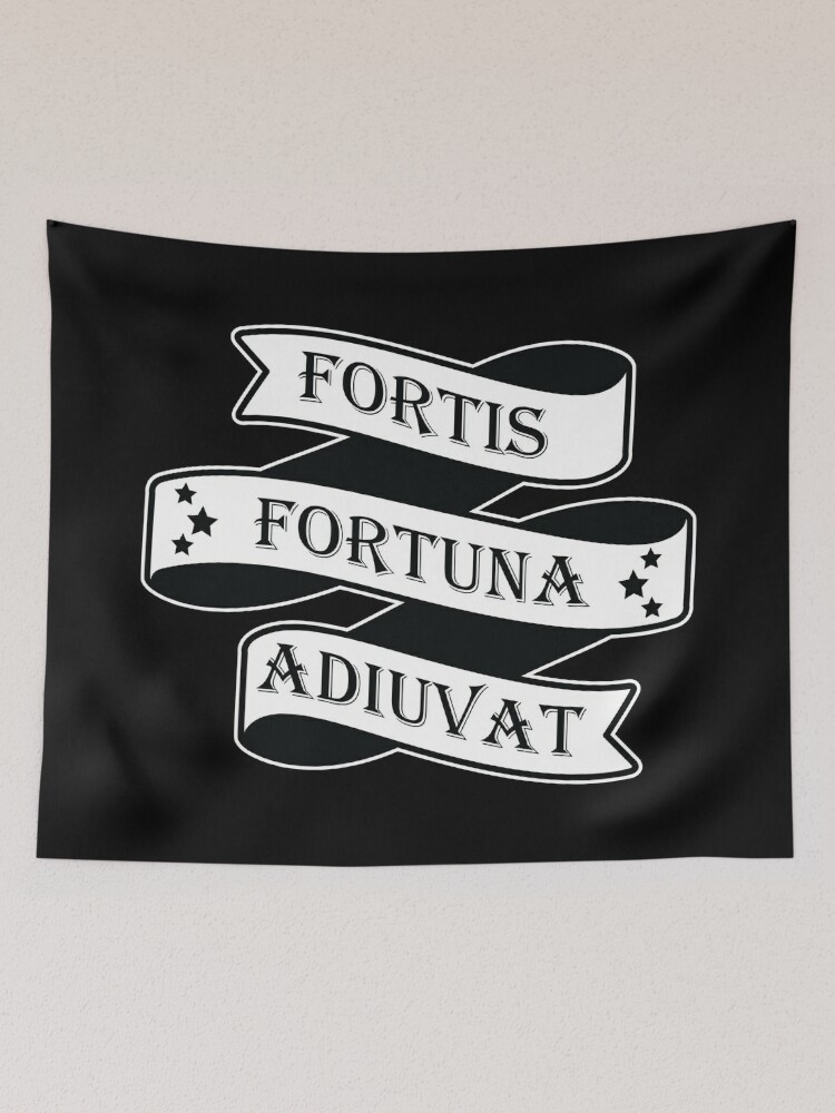 Fortis Fortuna Adiuvat Meaning: Does Fortune Actually Favor the Bold?